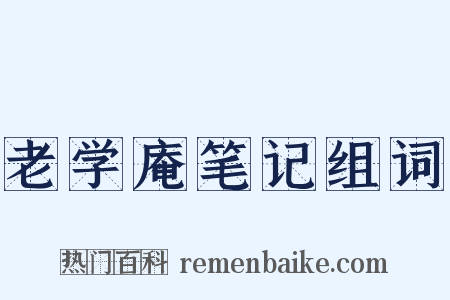 老学庵笔记组词是什么意思的图片